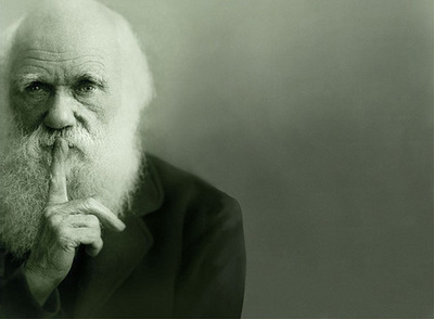 Fotografía retocada de Charles Darwin tomada de los carteles y de la  web  de la gran exposición dedicada al naturalista celebrada hasta el 19 de abril en el Museo de Historia Natural de Londres.