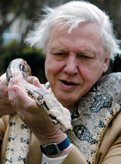 Attenborough, premio Príncipe de Asturias de Ciencias Sociales por su defensa de la vida