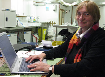 "Bajo el hielo fracturado estamos encontrando agua atlántica y no ártica"