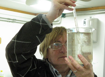 "Bajo el hielo fracturado estamos encontrando agua atlántica y no ártica"