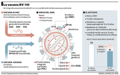 Así funciona la vacuna