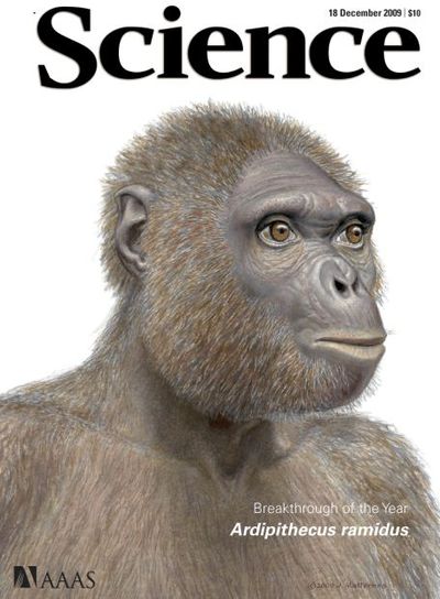 Representación del  Ardipithecus ramidus  en la portada de la revista  Science .