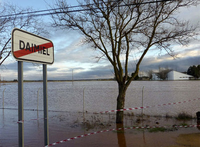 El agua trasvasada comienza a anegar el Parque Nacional de Las Tablas Daimiel