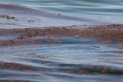 Crudo sobre la superficie de las aguas del Golfo de México, cerca de Luisiana.