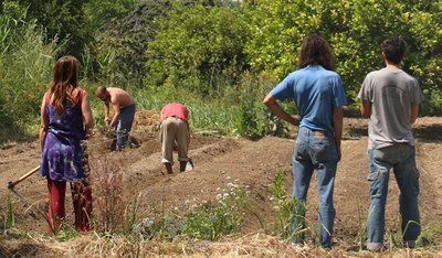 Huerta comunitaria  de 'Coín en Transición', Málaga.
