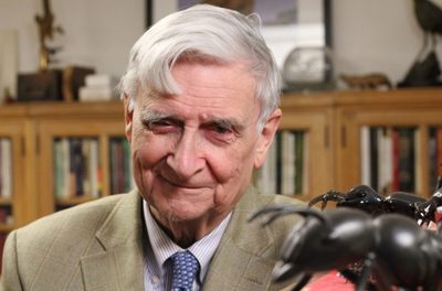 Edward O. Wilson, biólogo y humanista.