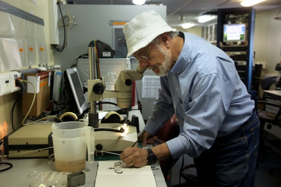 Miguel Alcaraz trabajando en una de sus láminas en un laboratorio del buque  Hespérides' 