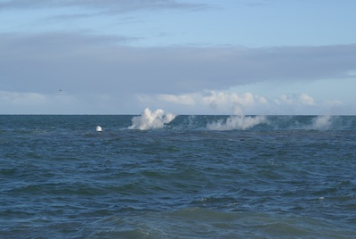 Los piroclastos flotan sobre el agua.