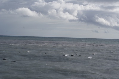Los piroclastos flotan sobre el agua.