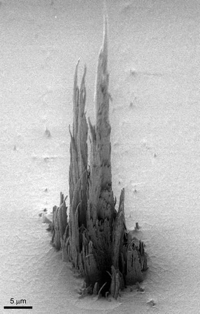 Premio para la Sagrada Familia a escala nanométrica