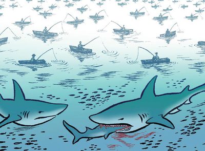 La venta de Yahoo inquieta a los alevines del mar tecnológico