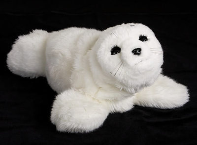 La 'foca terapéutica' llega a España