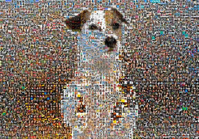 El secreto de Pancho y sus 1.000 amigos en Facebook