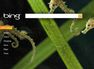 Bing quiere plantarle cara a Google