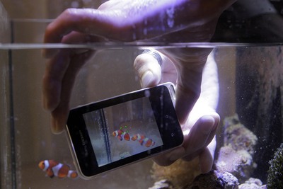 Adiós a Sony Ericsson